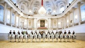 Vienna Attractions: Spanish Riding School
