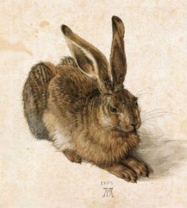 Albertina Vienna: Durer Hare