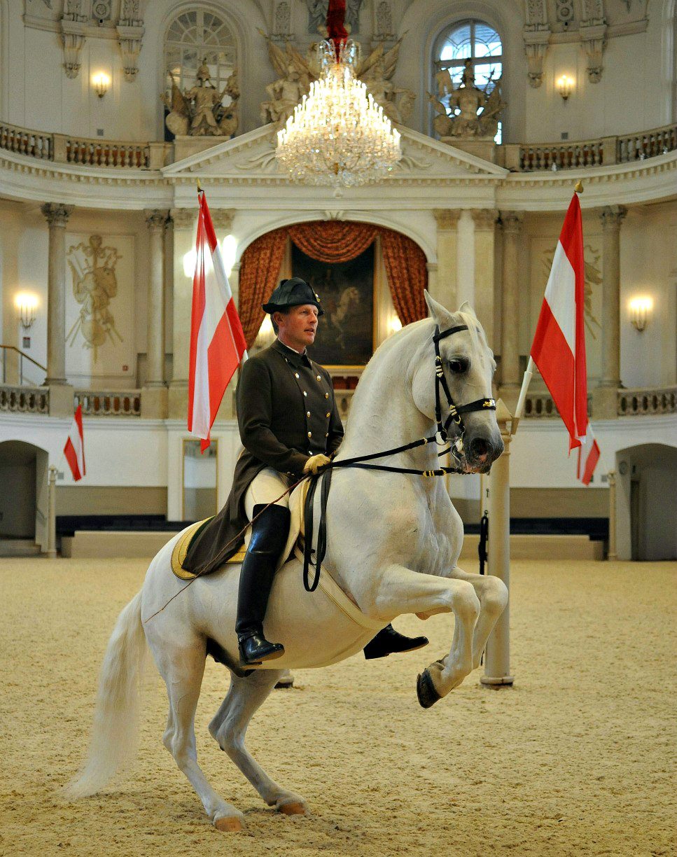 horse riding tours vienna