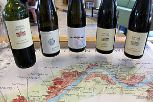 Wachau Valley tour: wine tasting