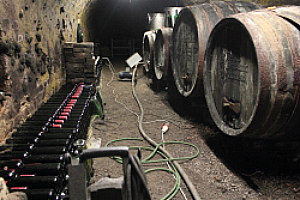 Winery Jamek wine cellar
