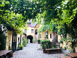 Vienna Wineries: Heuriger Schuebel Auer