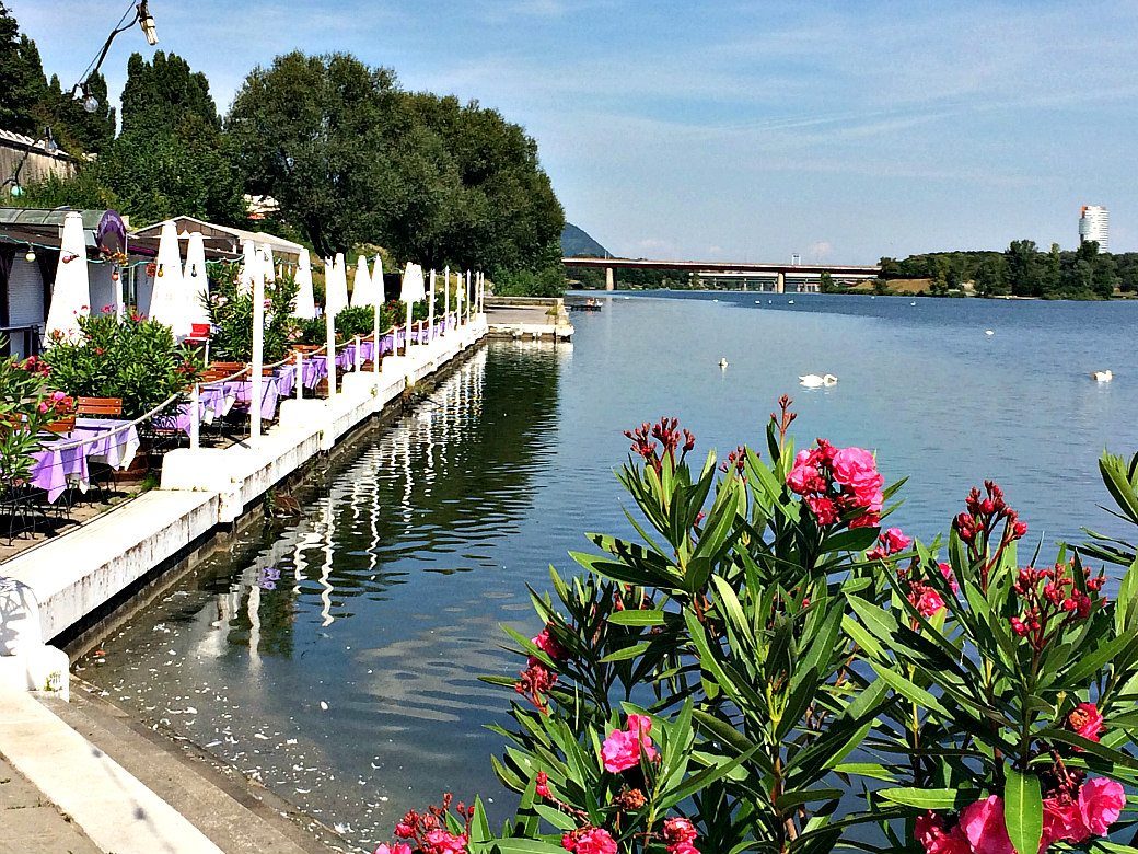 Vienna Danube Guide 2024 16+ River Discoveries To Dive Into