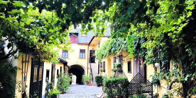 Things to do in Vienna in May: winery Schuebel Auer
